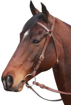 McAlister Barcoo Bridle / Brown